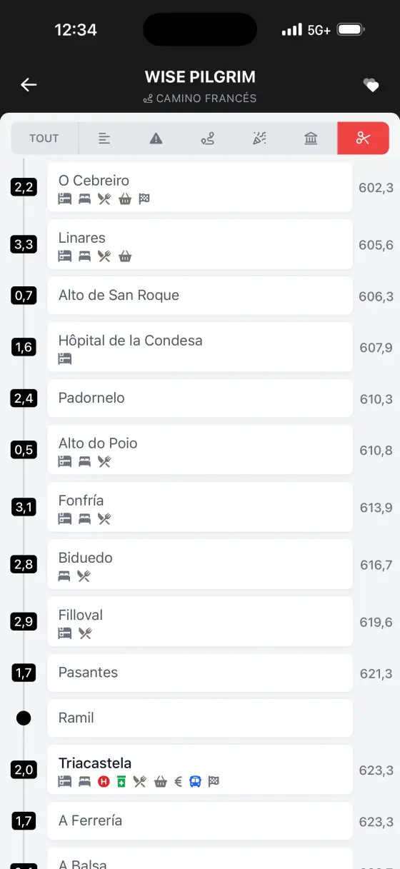 Camino Francés — The route
